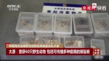 中国海关连破走私大案 查扣濒危野生动物及其制品126吨